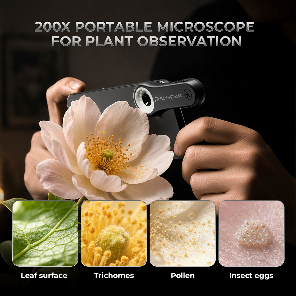 200-fache Pflanzeninspektion von Blatt, Trichomen, Pollen und Insekteneiern