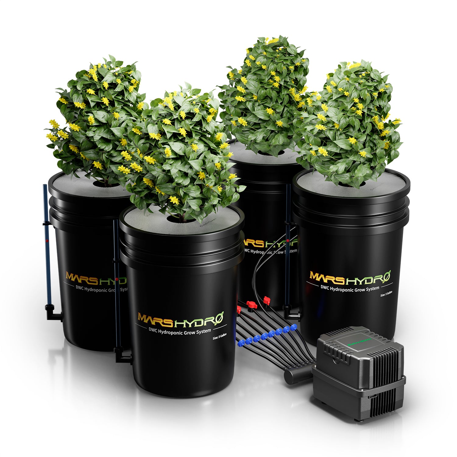 Tiefwasserkultur (DWC) Hydroponik-System mit 4 Töpfen
