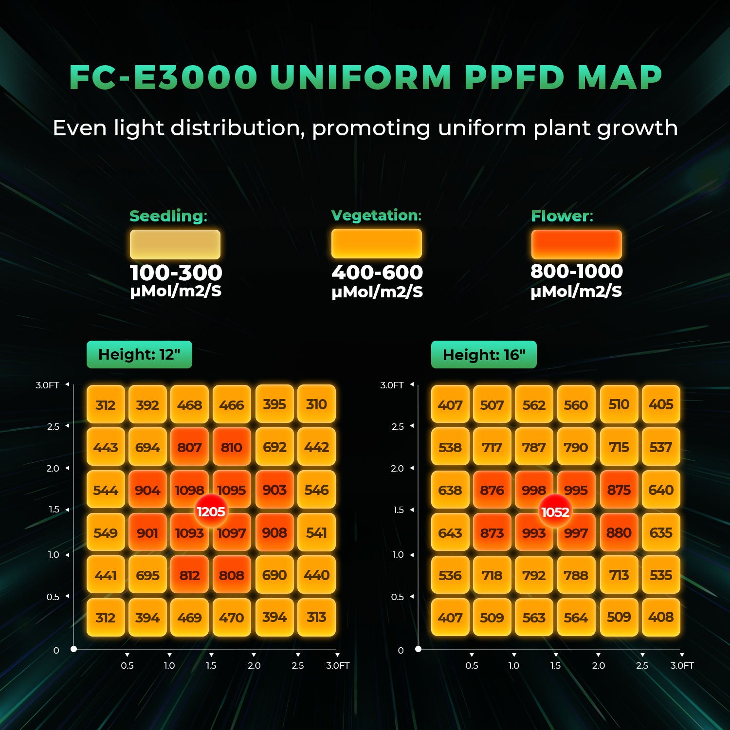 FC-E 3000 LED 300 Watt