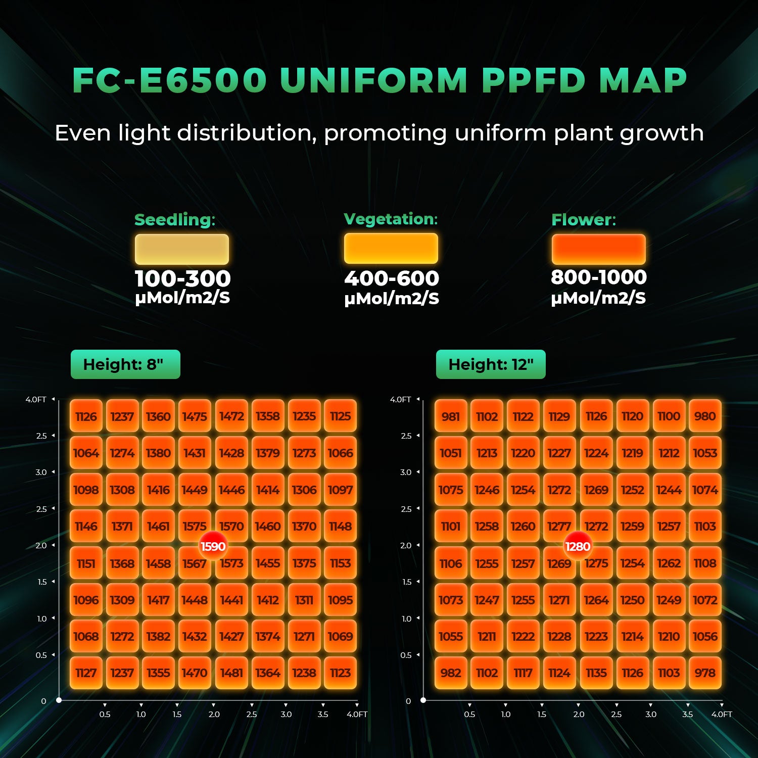 FC-E 6500 LED 730 Watt