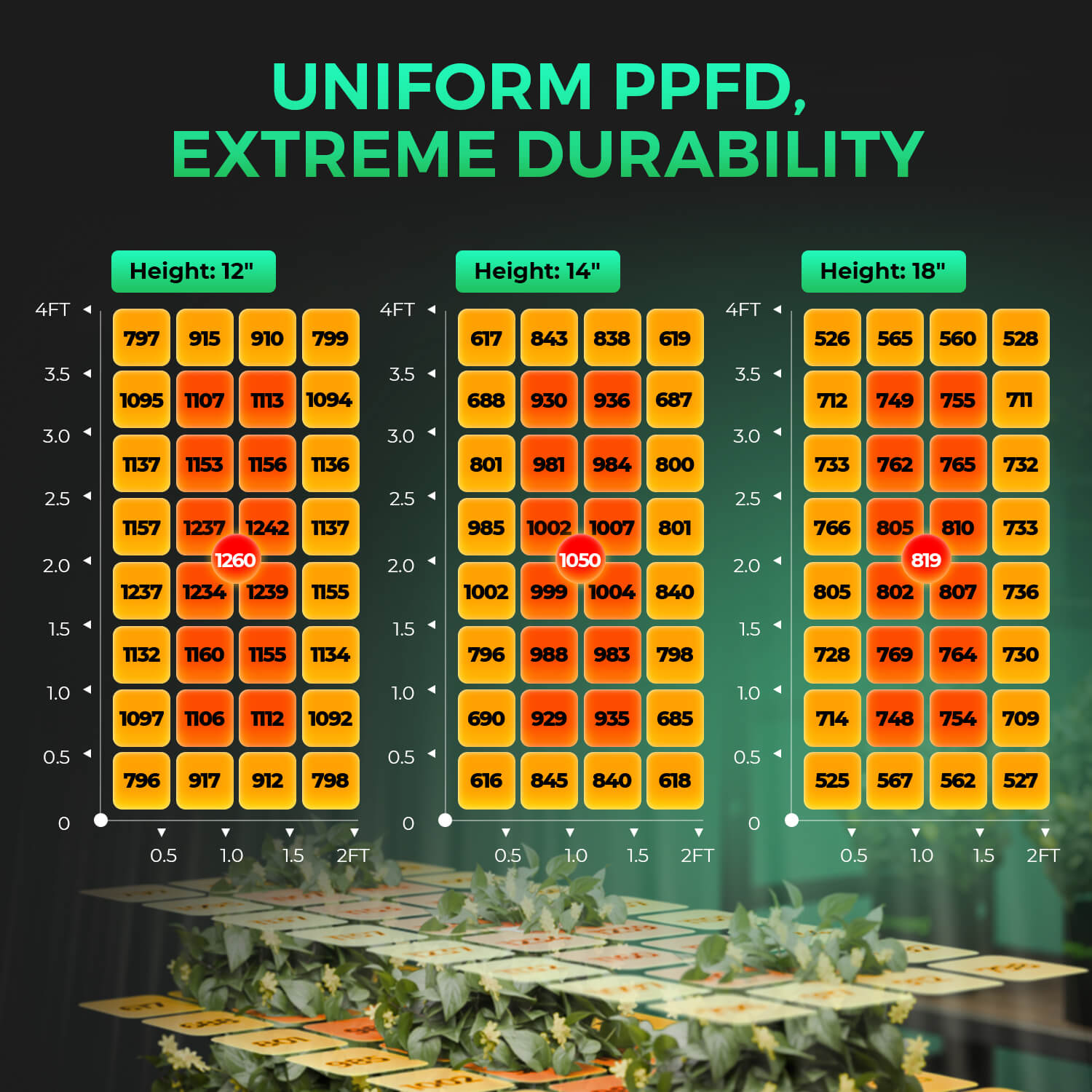 SP 3000 LED 300 Watt