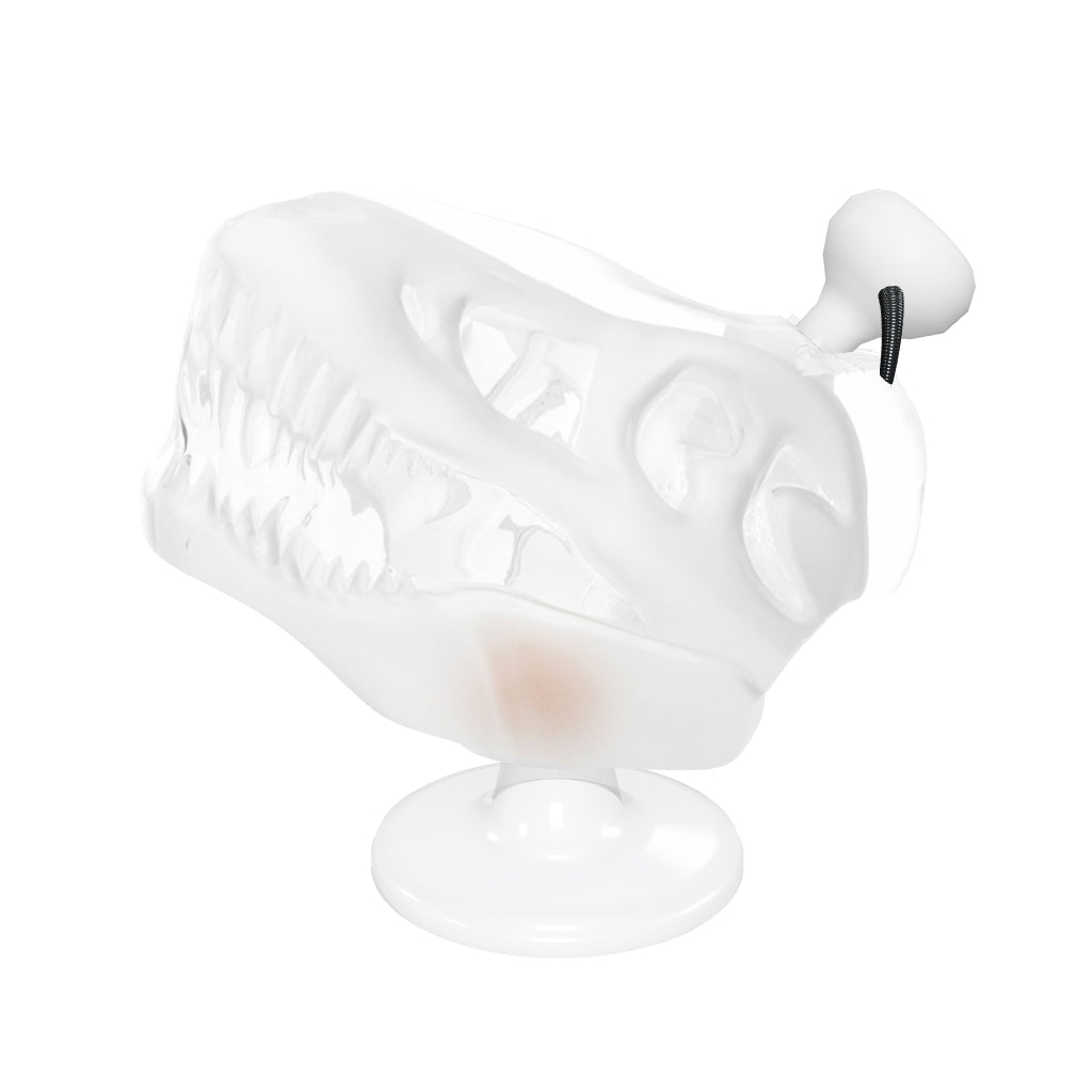 HEMPER Jurassic Spark Dinosaur Skull XL Bong – Original-Knochenfenster und Zahnlinien, Bernstein-Kugelperkolator sowie weißer Talon-Kopf mit schwarzem Griff; fotobasierte Glaswirkung