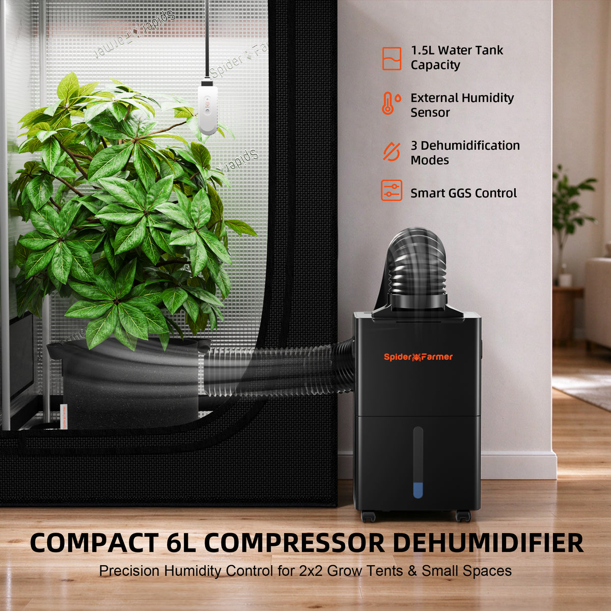 Spider Farmer SF-Dehumidifier6 Aufstellung außerhalb einer kleinen Growbox