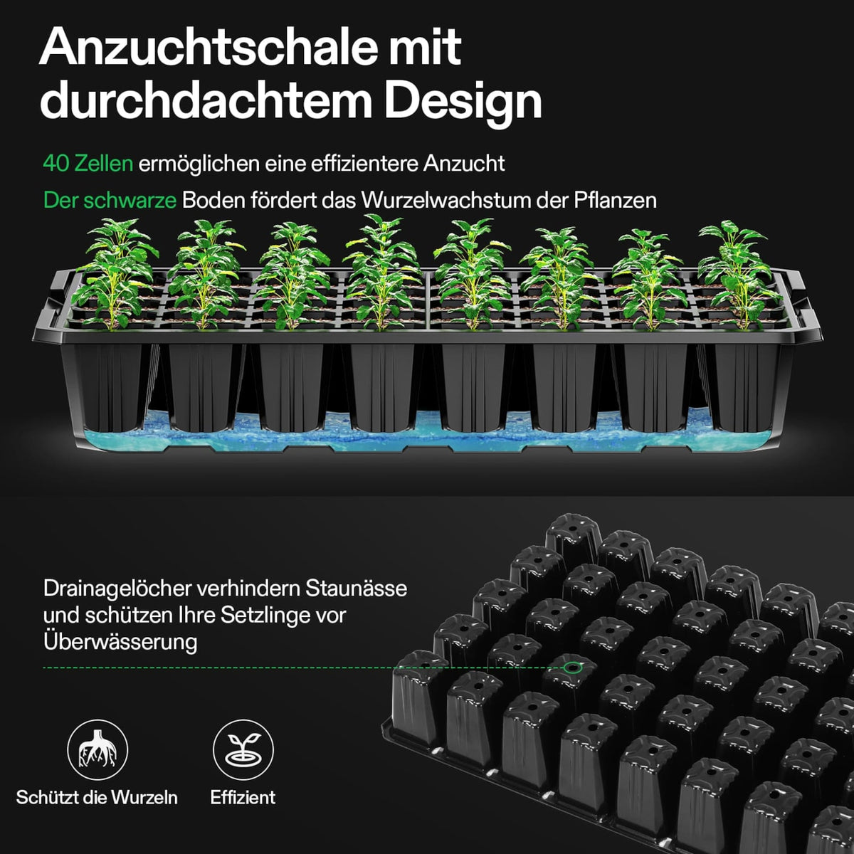 40-Zellen-Anzuchtset mit LED und Heizmatte – Galerie 8