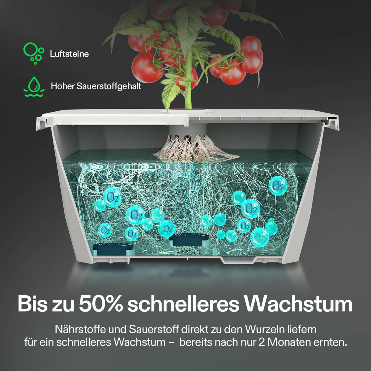 VGrow DWC Hydroponiksystem 15 L – Anwendung